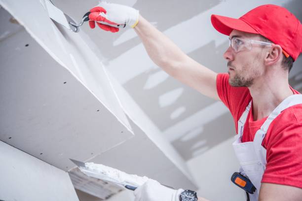 Best Mold Damage Restoration  in Cherokee, IA